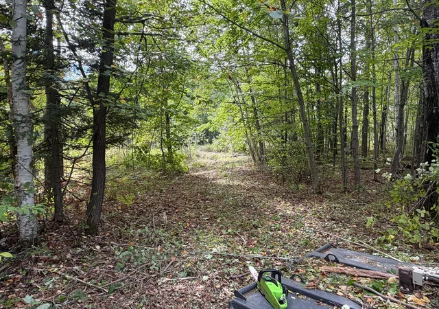 Photo 3 of Land for sale at Tbd Sand Crk Rd, Bruno, MN 55712 | MLS# 7146856 | Listing updated on 2026-09-24