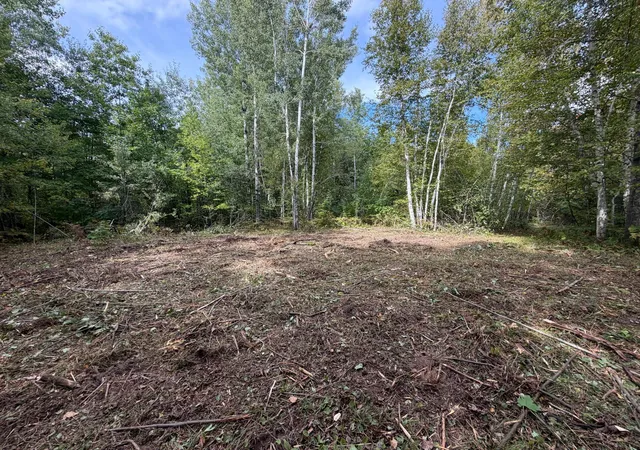 Photo 3 of Land for sale at Tbd Sand Crk Rd, Bruno, MN 55712 | MLS# 7146856 | Listing updated on 2026-09-24