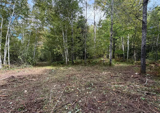 Photo 4 of Land for sale at Tbd Sand Crk Rd, Bruno, MN 55712 | MLS# 7146856 | Listing updated on 2026-09-24