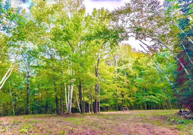 Photo 2 of Land for sale at 3700 Spruce St, Sandstone, MN 55072 | MLS# 7146874 | Listing updated on 2026-09-25