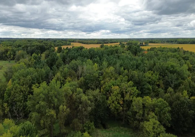Photo 3 of Land for sale at 3850 405th Avenue NW, Braham, MN 55006 | MLS# 7147202 | Listing updated on 2026-09-21
