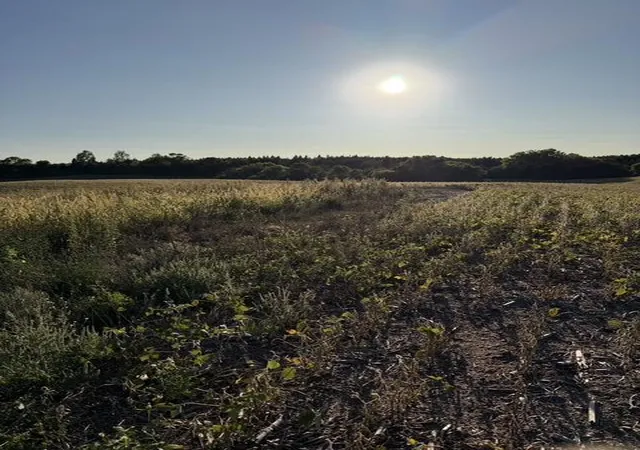 Photo 2 of Land for sale at 406xx Placid Dr, Dent, MN 56528 | MLS# 7147304 | Listing updated on 2026-09-21