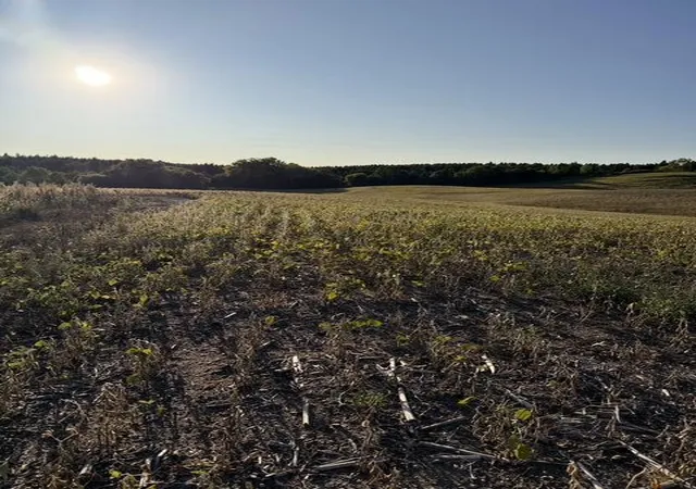 Photo 3 of Land for sale at 406xx Placid Dr, Dent, MN 56528 | MLS# 7147304 | Listing updated on 2026-09-21