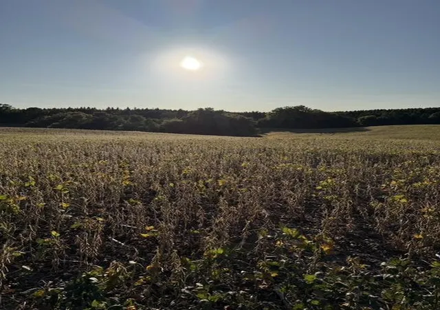Photo 3 of Land for sale at 406xx Placid Dr, Dent, MN 56528 | MLS# 7147304 | Listing updated on 2026-09-21