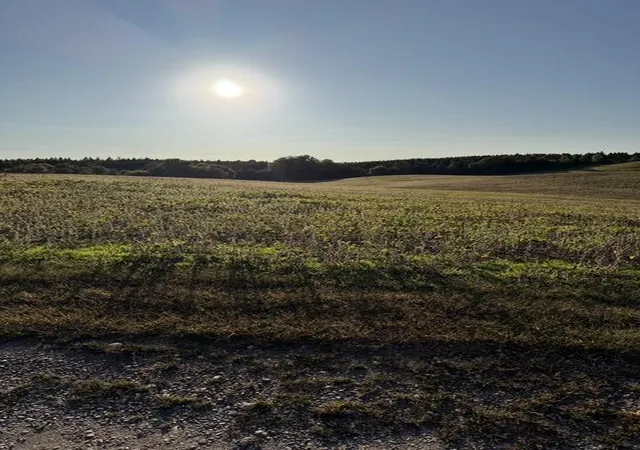 Photo 4 of Land for sale at 406xx Placid Dr, Dent, MN 56528 | MLS# 7147304 | Listing updated on 2026-09-21