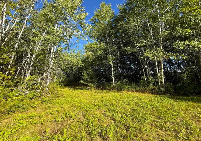 Land for sale at 12084 County Rd 144, Brainerd, MN 56401 | MLS# 7147420