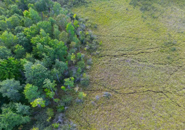 Photo 3 of Land for sale at 12084 County Rd 144, Brainerd, MN 56401 | MLS# 7147420 | Listing updated on 2026-09-21