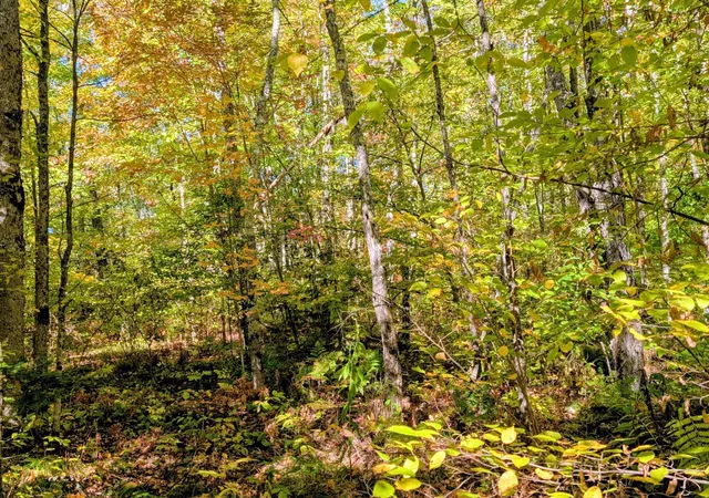 Photo 3 of Land for sale at Tbd Hwy B, Hunter Twp, WI 54843 | MLS# 7147440 | Listing updated on 2026-10-05
