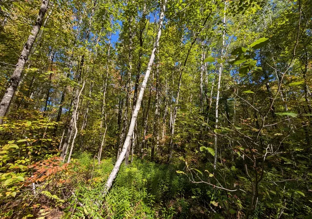 Photo 4 of Land for sale at Tbd Hwy B, Hunter Twp, WI 54843 | MLS# 7147440 | Listing updated on 2026-10-05