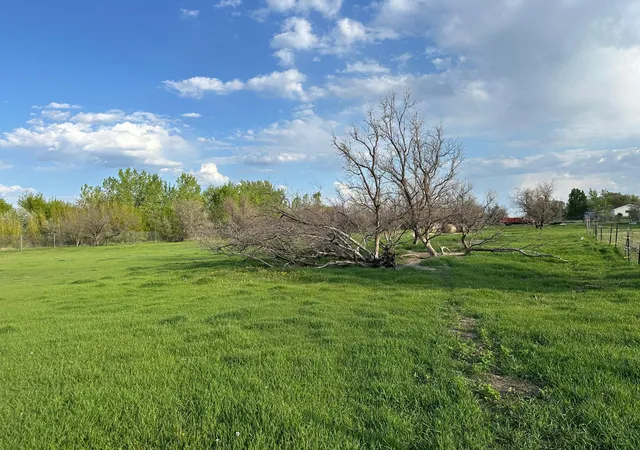 Photo 4 of Single family home for sale at 1582 NE Freedom Ave, Manvel, ND 58256 | MLS# 7147612 | Listing updated on 2026-09-30