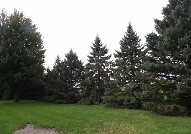 Photo 3 of Single family home for sale at 2004 16th Street SW, Austin, MN 55912 | MLS# 7147645 | Listing updated on 2026-09-22