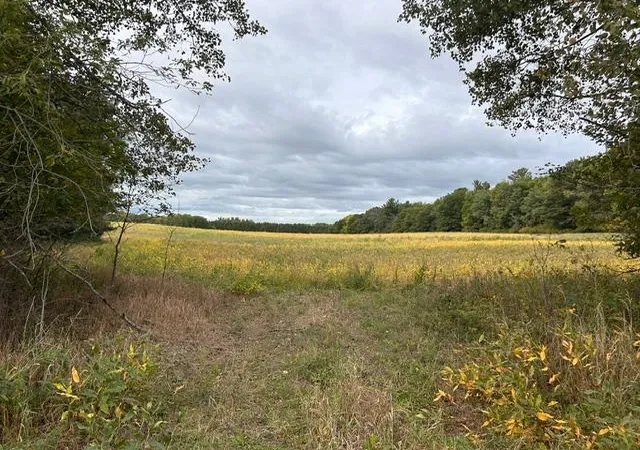 Photo 1 of Land for sale at Tbd Melody St, Braham, MN 55006 | MLS# 7147657 | Listing updated on 2026-09-22