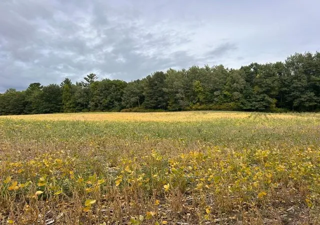 Photo 2 of Land for sale at Tbd Melody St, Braham, MN 55006 | MLS# 7147657 | Listing updated on 2026-09-22