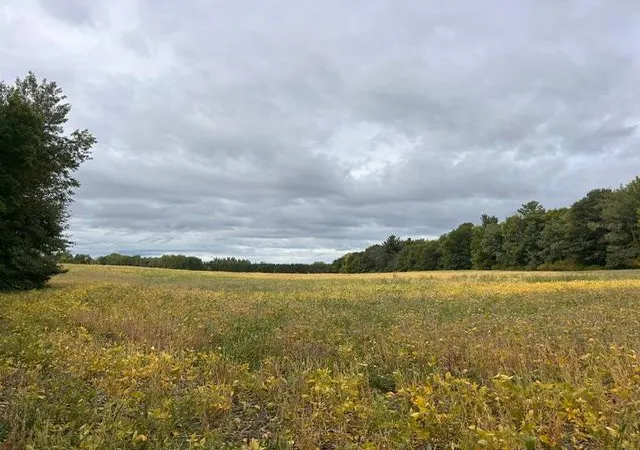Photo 3 of Land for sale at Tbd Melody St, Braham, MN 55006 | MLS# 7147657 | Listing updated on 2026-09-22