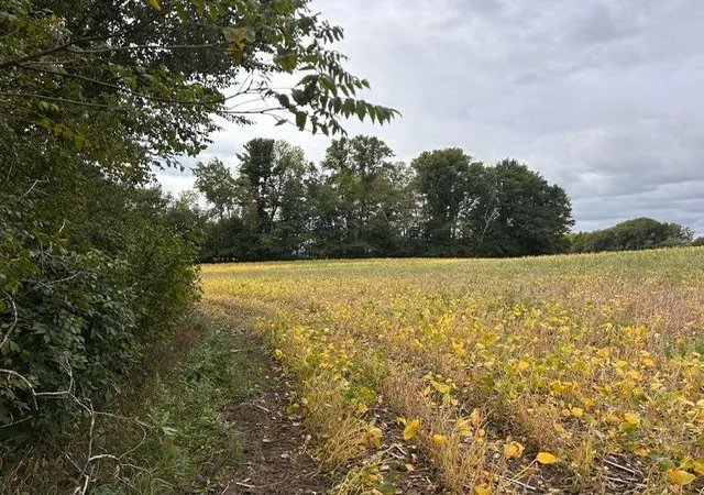 Photo 3 of Land for sale at Tbd Melody St, Braham, MN 55006 | MLS# 7147657 | Listing updated on 2026-09-22
