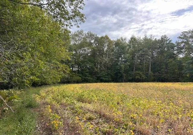 Photo 4 of Land for sale at Tbd Melody St, Braham, MN 55006 | MLS# 7147657 | Listing updated on 2026-09-22