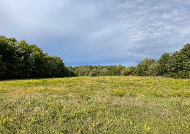 Photo 1 of Land for sale at Tbd Xxx 140th Ave, Foreston, MN 56330 | MLS# 7147761 | Listing updated on 2026-09-21