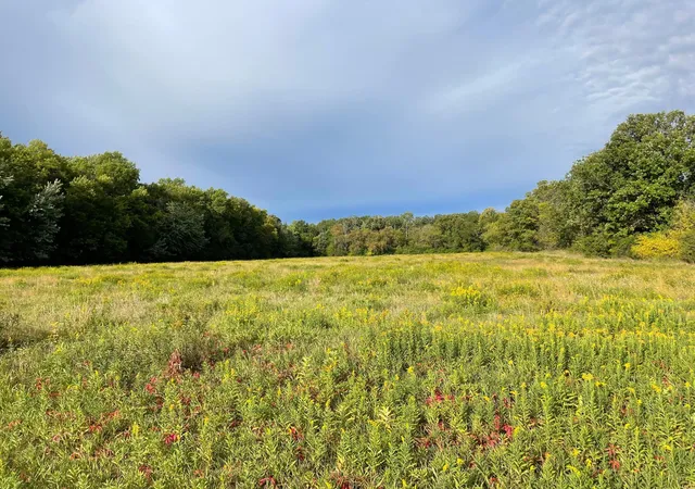 Photo 2 of Land for sale at Tbd Xxx 140th Ave, Foreston, MN 56330 | MLS# 7147761 | Listing updated on 2026-09-21