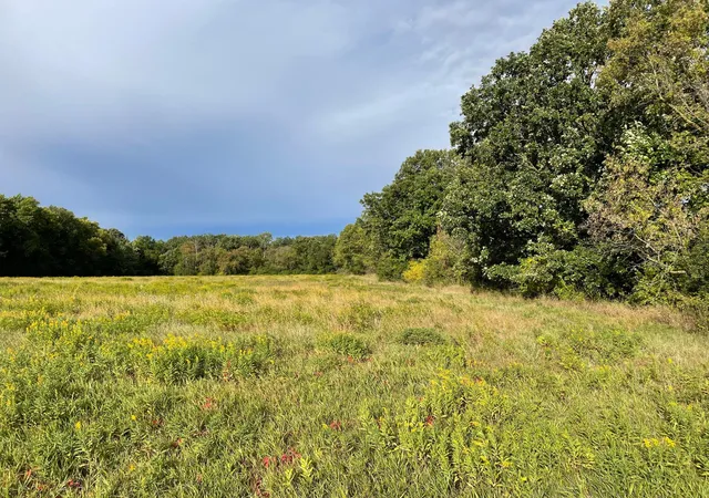 Photo 3 of Land for sale at Tbd Xxx 140th Ave, Foreston, MN 56330 | MLS# 7147761 | Listing updated on 2026-09-21