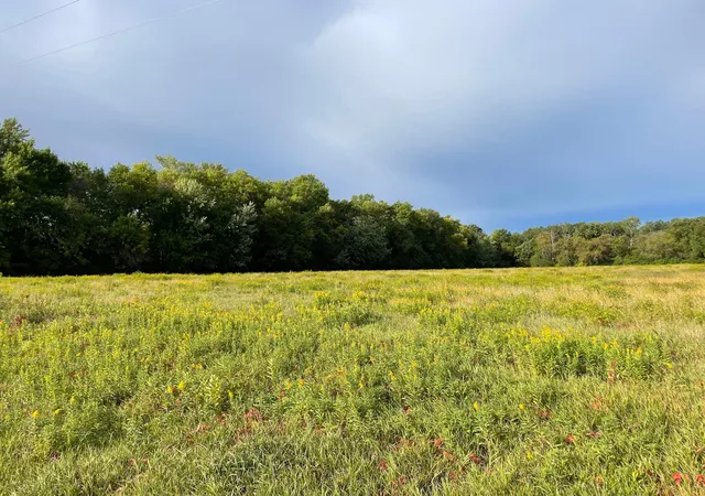 Photo 3 of Land for sale at Tbd Xxx 140th Ave, Foreston, MN 56330 | MLS# 7147761 | Listing updated on 2026-09-21