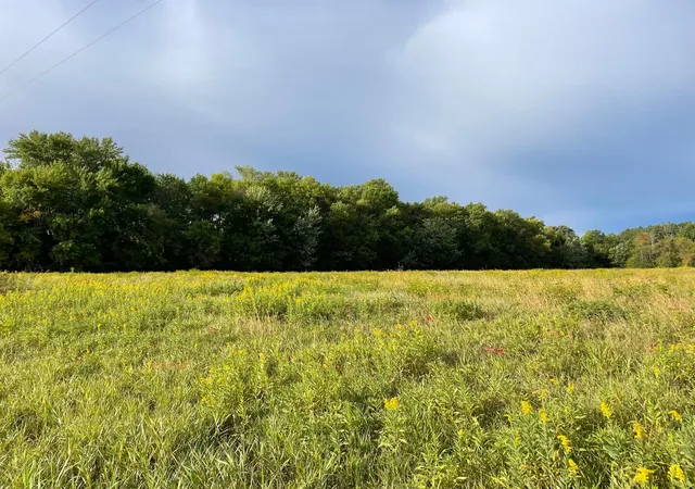 Photo 4 of Land for sale at Tbd Xxx 140th Ave, Foreston, MN 56330 | MLS# 7147761 | Listing updated on 2026-09-21