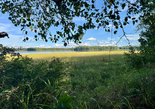 Photo 2 of Land for sale at 266 Lake Hattie Dr Nw, Backus, MN 56435 | MLS# 7147988 | Listing updated on 2026-10-02