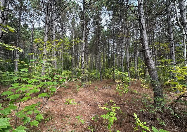 Photo 2 of Land for sale at Tbd W Fork Rd, Sandstone, MN 55072 | MLS# 7148009 | Listing updated on 2026-09-29