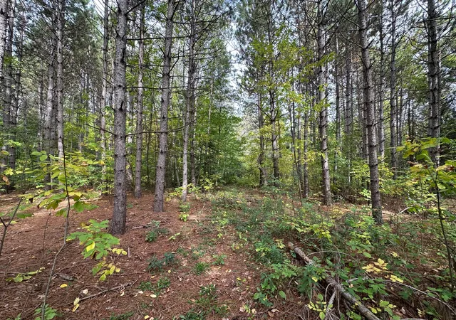 Photo 3 of Land for sale at Tbd W Fork Rd, Sandstone, MN 55072 | MLS# 7148009 | Listing updated on 2026-09-29