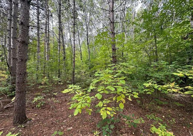 Photo 3 of Land for sale at Tbd W Fork Rd, Sandstone, MN 55072 | MLS# 7148009 | Listing updated on 2026-09-29