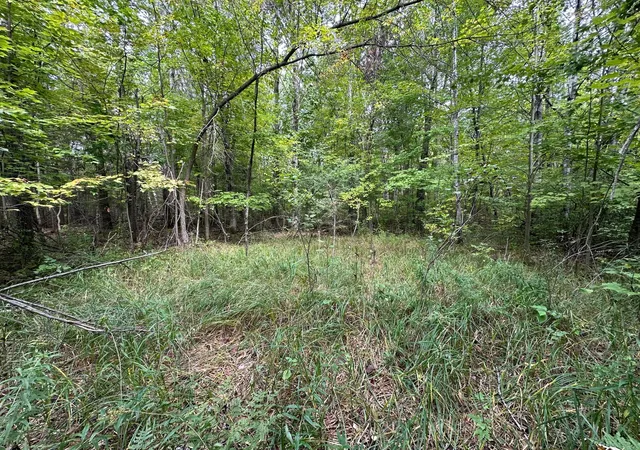 Photo 4 of Land for sale at Tbd W Fork Rd, Sandstone, MN 55072 | MLS# 7148009 | Listing updated on 2026-09-29