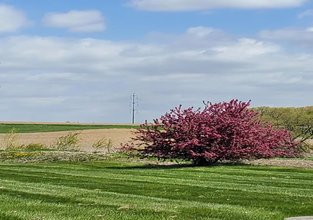 Photo 4 of Single family home for sale at 21280 93rd Avenue N, Hamel, MN 55340 | MLS# 7148062 | Listing updated on 2026-09-22
