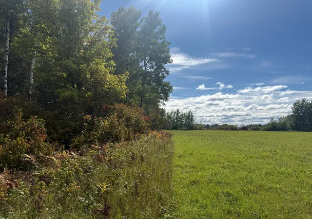 Photo 3 of Land for sale at Tbd Xxxx Johnson Rd, Floodwood, MN 55736 | MLS# 7148199 | Listing updated on 2026-09-22