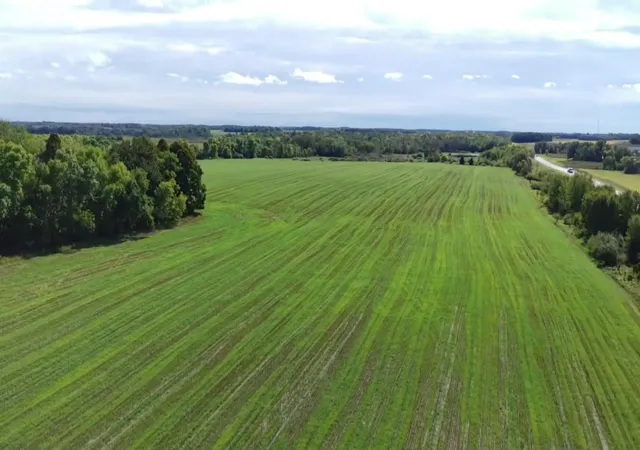 Land for sale at 15095 400th Street, Eagle Bend, MN 56446 | MLS# 7148342