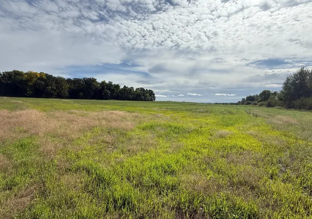 Photo 2 of Land for sale at 15095 400th Street, Eagle Bend, MN 56446 | MLS# 7148342 | Listing updated on 2026-09-23