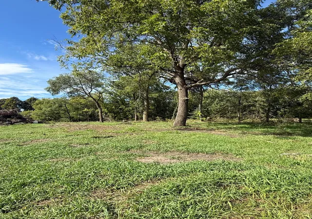 Photo 3 of Land for sale at 15095 400th Street, Eagle Bend, MN 56446 | MLS# 7148342 | Listing updated on 2026-09-23