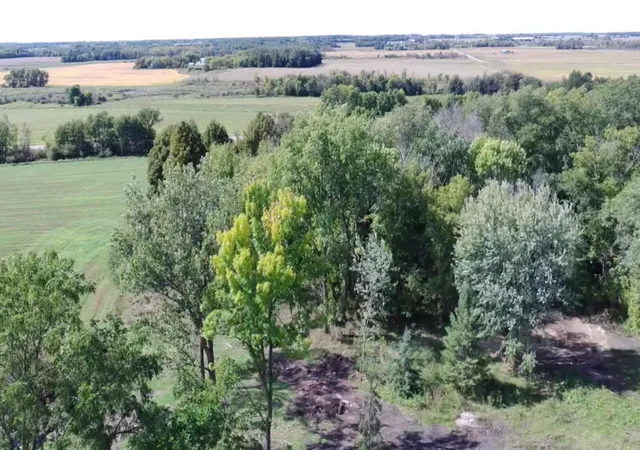 Photo 3 of Land for sale at 15095 400th Street, Eagle Bend, MN 56446 | MLS# 7148342 | Listing updated on 2026-09-23