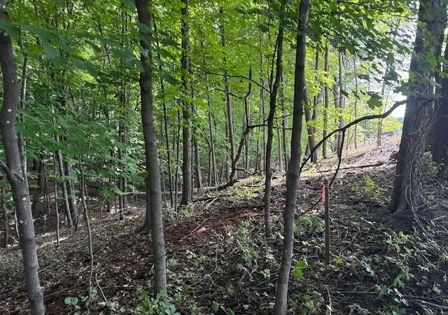 Photo 3 of Land for sale at 10492 Kalland Ln NE, Hanover, MN 55341 | MLS# 7148367 | Listing updated on 2026-09-22
