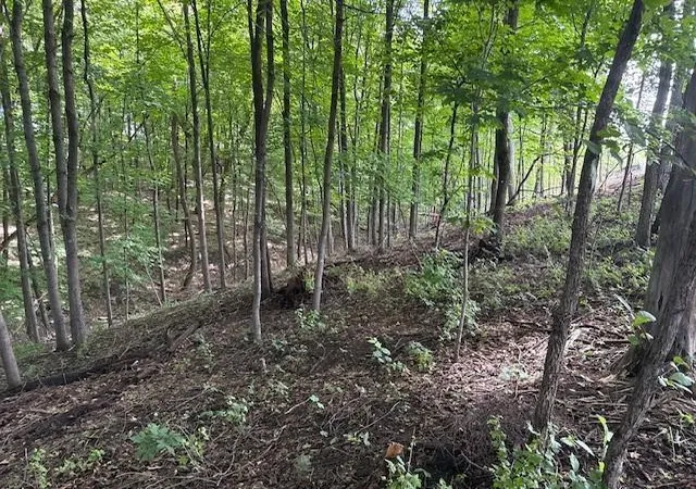 Photo 4 of Land for sale at 10492 Kalland Ln NE, Hanover, MN 55341 | MLS# 7148367 | Listing updated on 2026-09-22