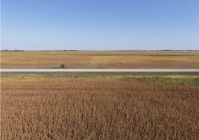 Photo 2 of Land for sale at 9124 & 9350 57th St S, Horace, ND 58047 | MLS# 7148425 | Listing updated on 2026-09-30