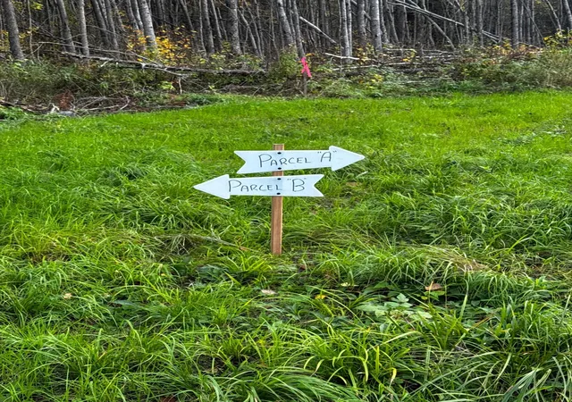 Photo 44 of Land for sale at Parcel B Sunflower Rd, Kelliher, MN 56650 | MLS# 7148577 | Listing updated on 2026-10-07