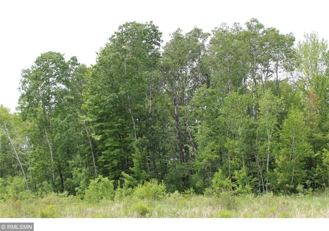 Photo 3 of Land for sale at Xxxxx Sandhill Crane Ln, Pine City, MN 55063 | MLS# 7148639 | Listing updated on 2026-09-29