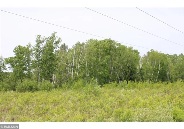 Photo 3 of Land for sale at Xxxxx Sandhill Crane Ln, Pine City, MN 55063 | MLS# 7148639 | Listing updated on 2026-09-29