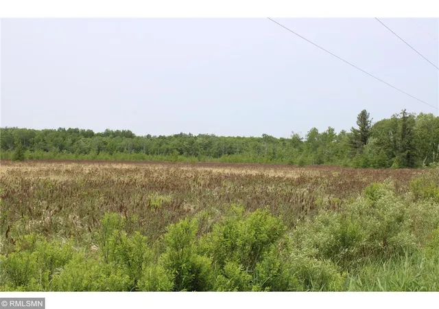Photo 4 of Land for sale at Xxxxx Sandhill Crane Ln, Pine City, MN 55063 | MLS# 7148639 | Listing updated on 2026-09-29