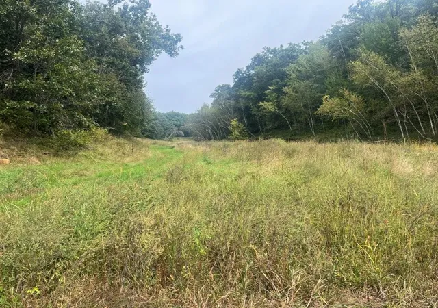 Photo 1 of Land for sale at Tbd Claire Rd, Taylor, WI 54659 | MLS# 7148730 | Listing updated on 2026-09-30