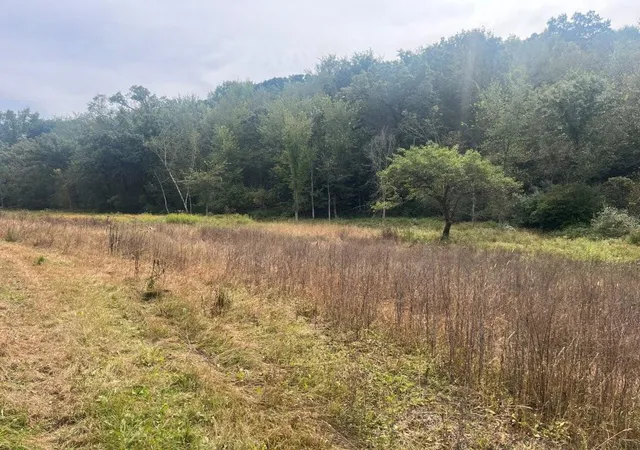 Photo 2 of Land for sale at Tbd Claire Rd, Taylor, WI 54659 | MLS# 7148730 | Listing updated on 2026-09-30