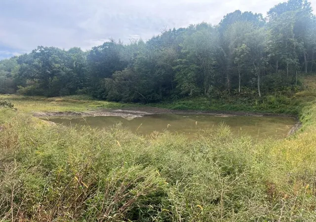 Photo 3 of Land for sale at Tbd Claire Rd, Taylor, WI 54659 | MLS# 7148730 | Listing updated on 2026-09-30