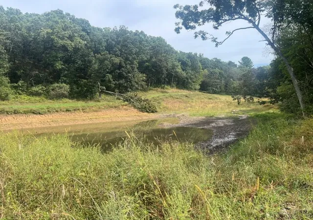 Photo 3 of Land for sale at Tbd Claire Rd, Taylor, WI 54659 | MLS# 7148730 | Listing updated on 2026-09-30