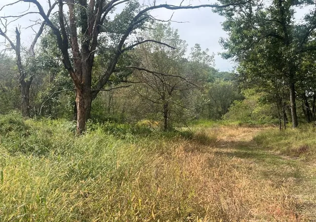 Photo 4 of Land for sale at Tbd Claire Rd, Taylor, WI 54659 | MLS# 7148730 | Listing updated on 2026-09-30