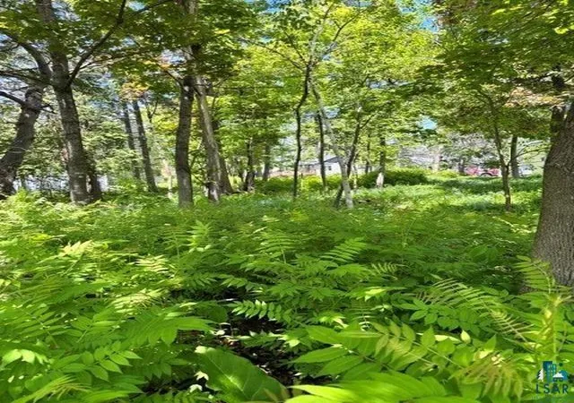 Photo 3 of Land for sale at 49xx Peabody St, Duluth, MN 55804 | MLS# 7148754 | Listing updated on 2026-09-25