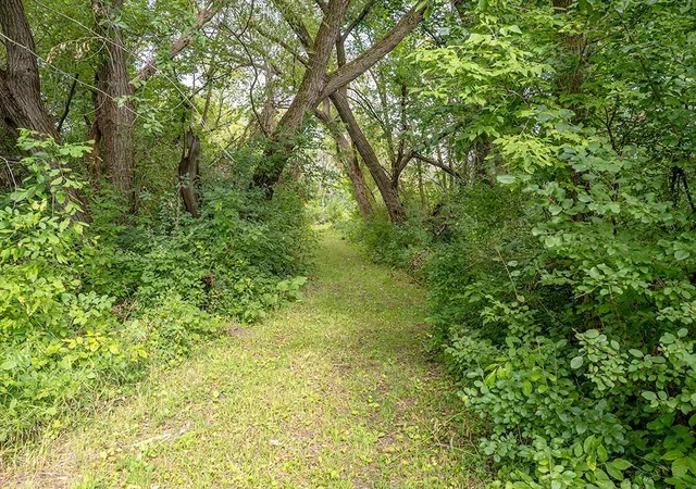 Photo 4 of Land for sale at 22660 713th Avenue, Dassel, MN 55325 | MLS# 7148788 | Listing updated on 2026-09-25